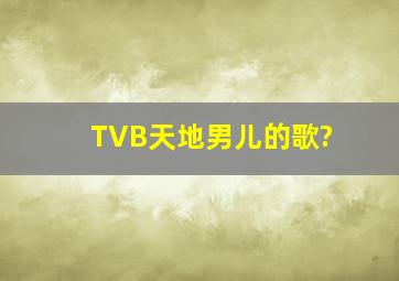 TVB天地男儿的歌?