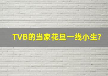 TVB的当家花旦、一线小生?