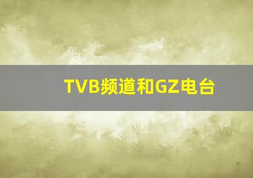 TVB频道和GZ电台