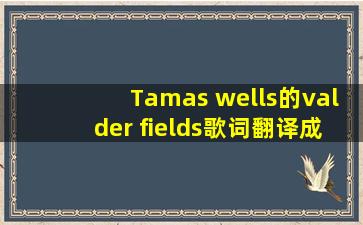 Tamas wells的valder fields歌词翻译成中文