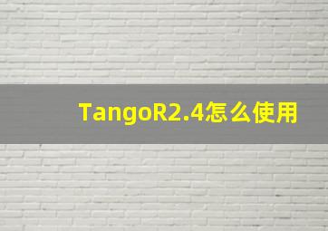 TangoR2.4怎么使用