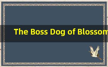 The Boss Dog of Blossom Street全文翻译