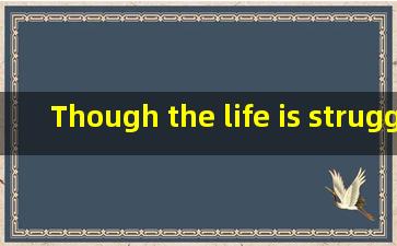 Though the life is struggle ,you should persuit your happiness 什么意思?