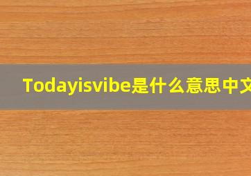 Todayisvibe是什么意思中文?