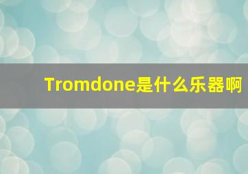 Tromdone是什么乐器啊