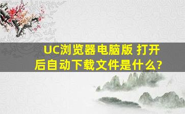 UC浏览器电脑版 打开后自动下载文件是什么?