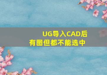 UG导入CAD后。有图。但都不能选中