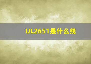 UL2651是什么线
