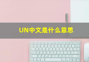 UN中文是什么意思