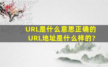 URL是什么意思正确的URL地址是什么样的?