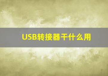 USB转接器干什么用(