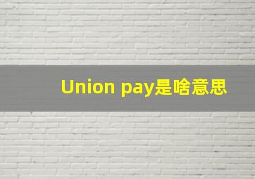 Union pay是啥意思