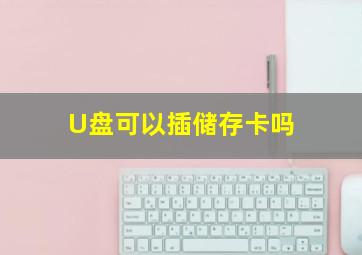 U盘可以插储存卡吗