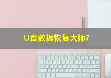 U盘数据恢复大师?