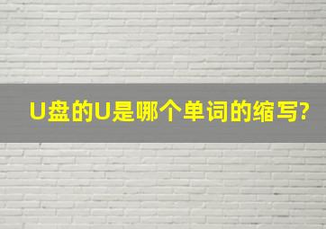 U盘的U是哪个单词的缩写?