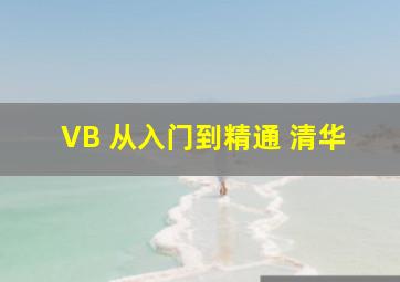 VB 从入门到精通 清华