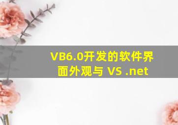 VB6.0开发的软件界面外观与 VS .net