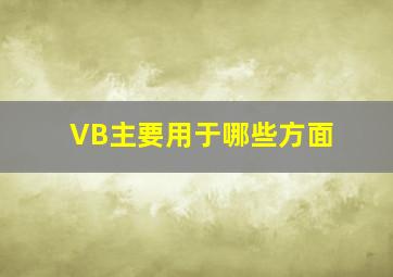 VB主要用于哪些方面