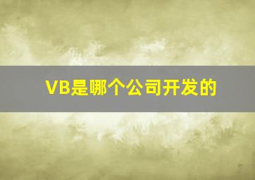 VB是哪个公司开发的