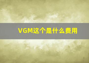 VGM这个是什么费用