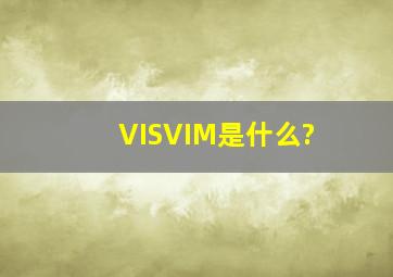 VISVIM是什么?