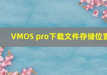 VMOS pro下载文件存储位置