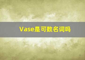 Vase是可数名词吗