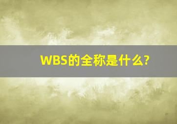WBS的全称是什么?