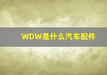 WDW是什么汽车配件