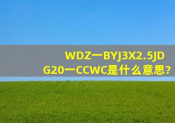 WDZ一BYJ3X2.5JDG20一CCWC是什么意思?