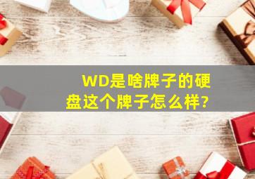 WD是啥牌子的硬盘,这个牌子怎么样?