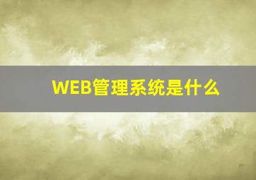 WEB管理系统是什么(