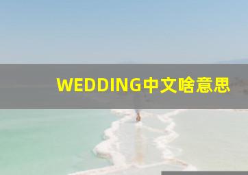 WEDDING中文啥意思