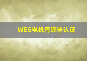 WEG电机有哪些认证(