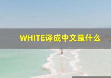 WHITE译成中文是什么