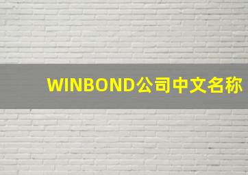 WINBOND公司中文名称