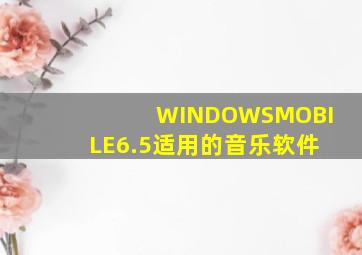 WINDOWSMOBILE6.5适用的音乐软件