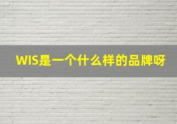 WIS是一个什么样的品牌呀(