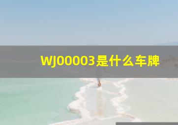 WJ00003是什么车牌