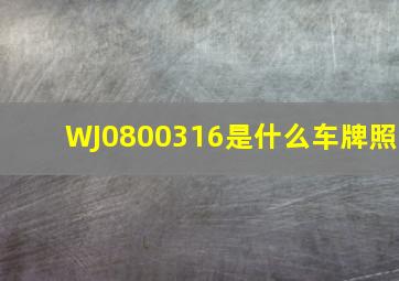 WJ0800316是什么车牌照