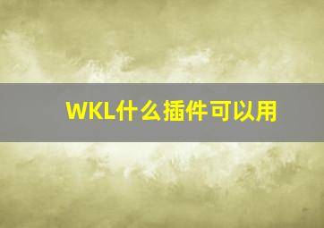 WKL什么插件可以用