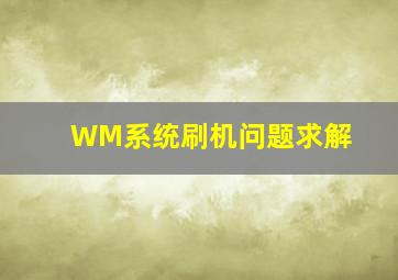 WM系统刷机问题求解