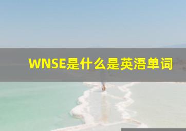 WNSE,是什么,是英浯单词