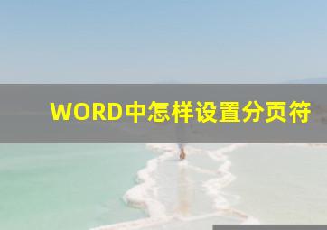 WORD中怎样设置分页符