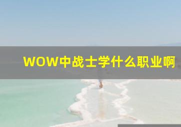 WOW中战士学什么职业啊