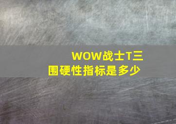 WOW战士T三围硬性指标是多少