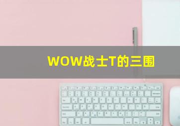 WOW战士T的三围