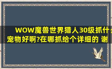 WOW魔兽世界,猎人30级抓什么宠物好啊?在哪抓给个详细的 谢谢了