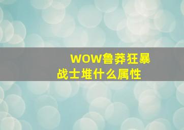 WOW鲁莽狂暴战士堆什么属性