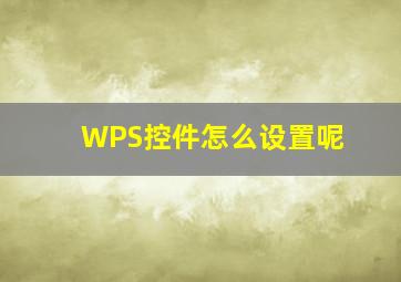 WPS控件怎么设置呢